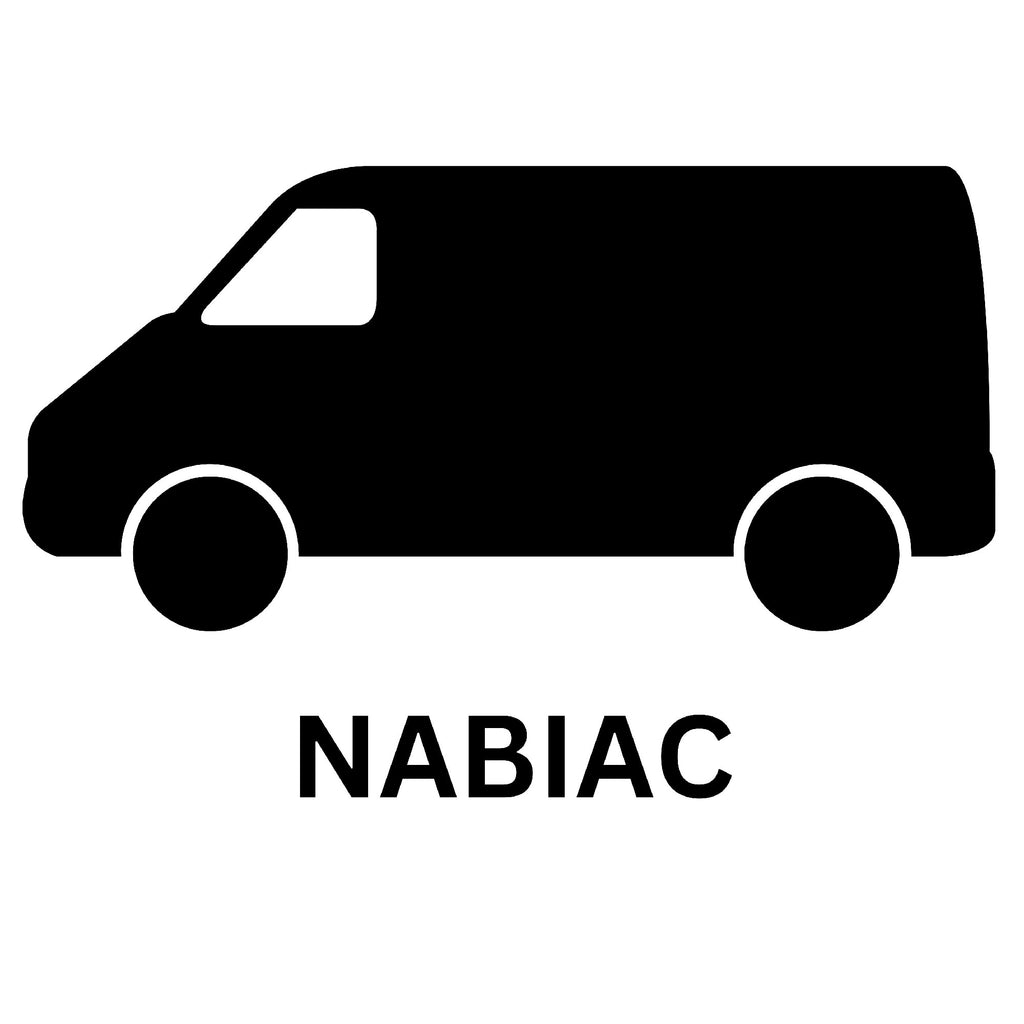 Delivery Van Nabiac