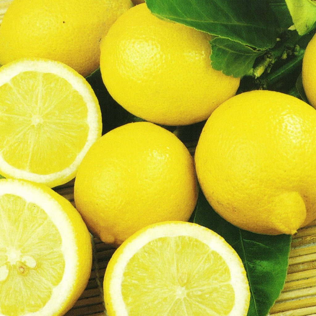 Citrus Lemon Lisbon 5l