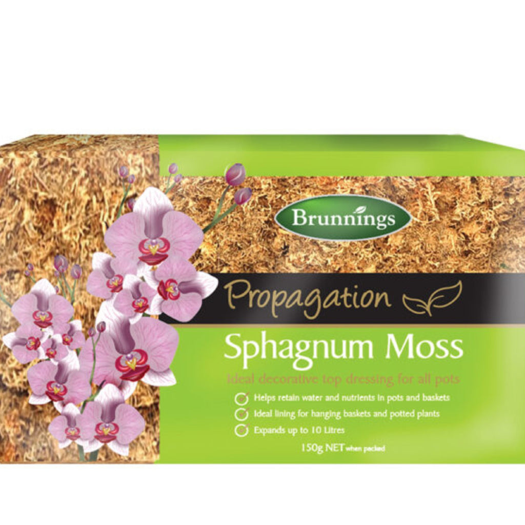 Sphagnum Moss 150g