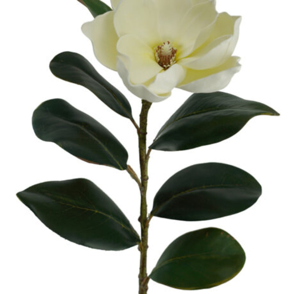 Magnolia Stem Lge 83cm