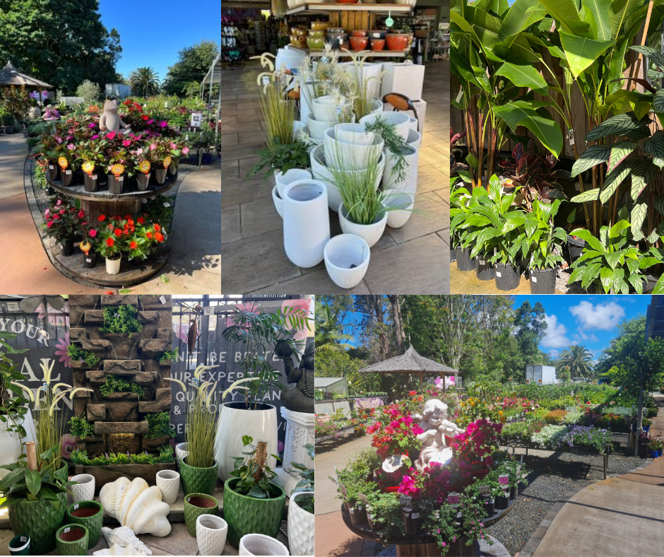 Discover the Best Things About Coming to Lumpy's Nursery & Landscape Yard